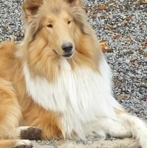 Meet your Posher, Jd